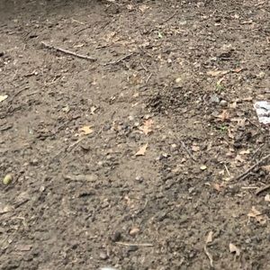 Meet your Posher, Gene